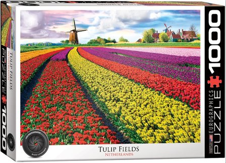 Tulip Fields :: Eurographics