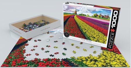 Tulip Fields :: Eurographics