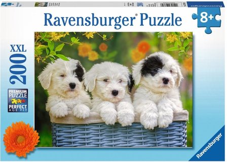 Schattige Puppies :: Ravensburger