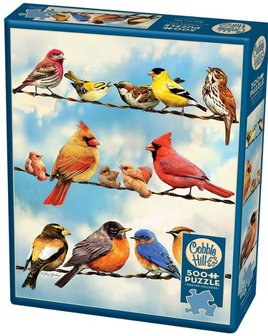 Birds on a Wire :: Cobble Hill