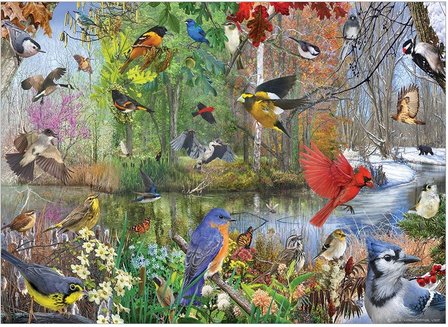 Birds of the Season :: Cobble Hill