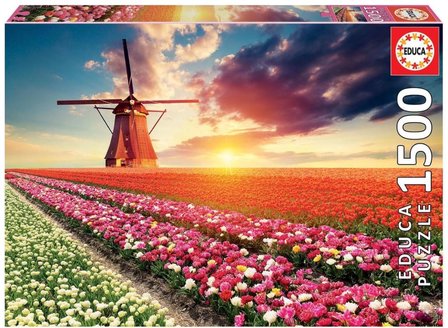 Tulips Landscape :: Educa