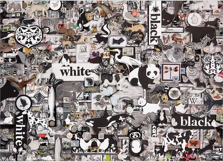 Black & White Animals :: Cobble Hill