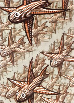 Diepte :: M.C. Escher
