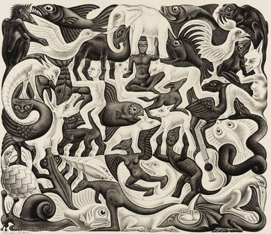 Vlakvulling II :: M.C. Escher