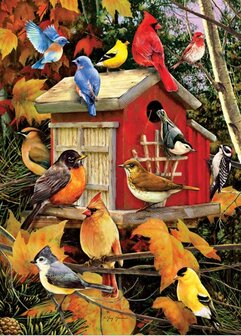 Fall Birds :: Cobble Hill