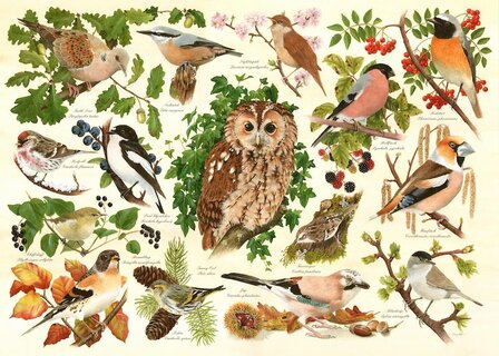 Woodland Birds :: House of  Puzzles