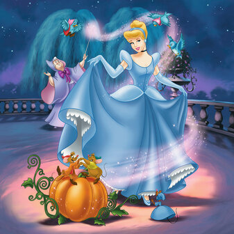 Legpuzzels Disney Princesses (3 x 49)