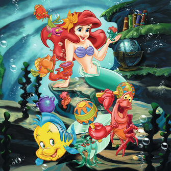 Legpuzzels Disney Princesses (3 x 49)