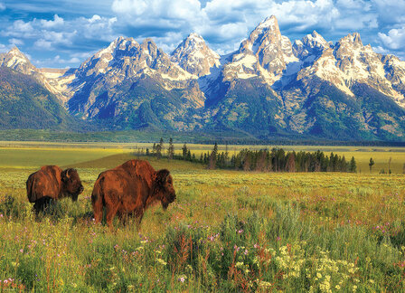 Grand Teton National Park :: Eurographics