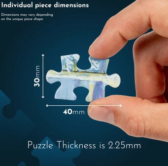 Legpuzzel House of Puzzles