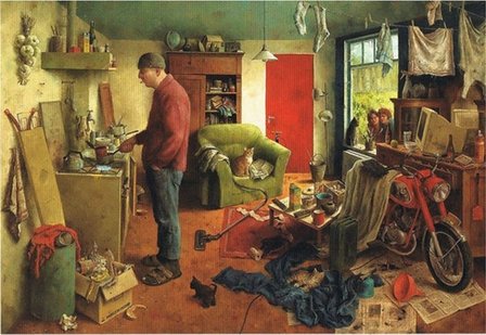 Mannenhuishouding :: Marius van Dokkum