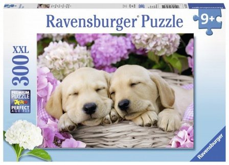 Schattige Hondjes in een Mand :: Ravensburger