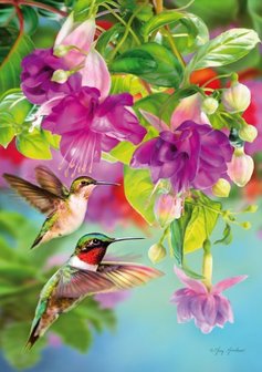 Hummingbirds :: Puzzleman