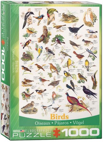 Birds :: Eurographics
