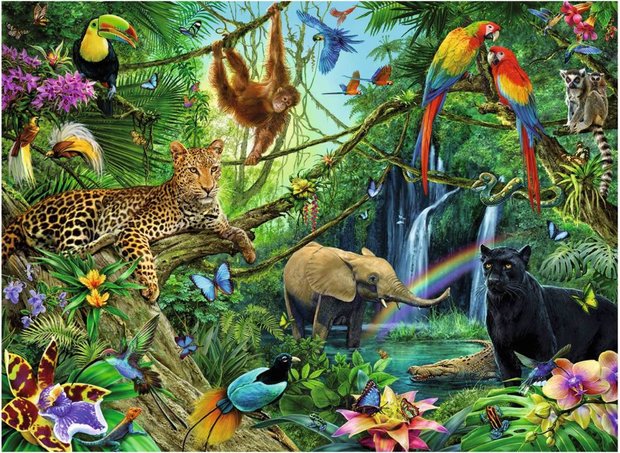 Dieren in de Jungle :: Ravensburger