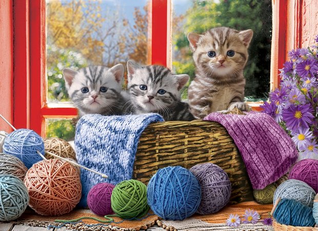 Knittin' Kittens :: Eurographics