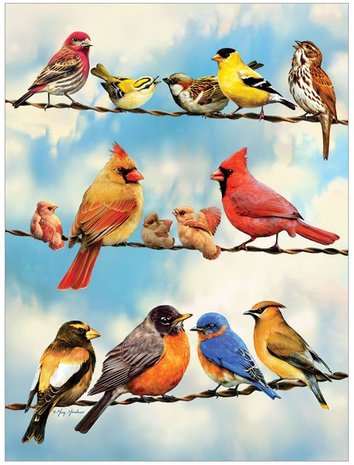Birds on a Wire :: Cobble Hill