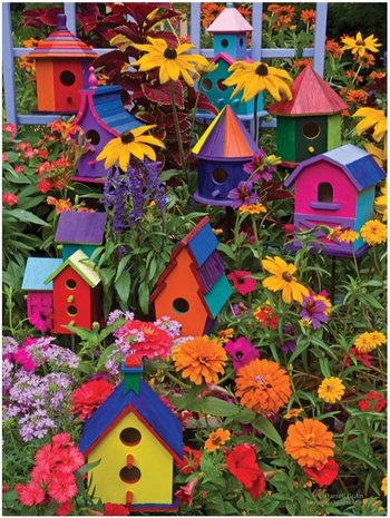 Birdhouses :: Cobble Hill