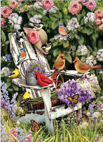 Summer Adirondack Birds :: Cobble Hill