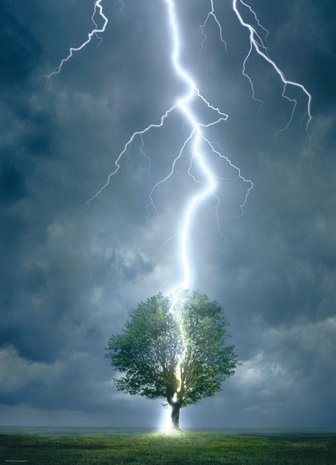 Lightning Striking Tree :: Eurographics