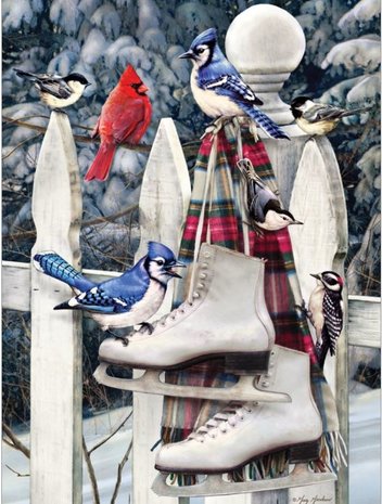 Birds with Skates :: Cobble Hill