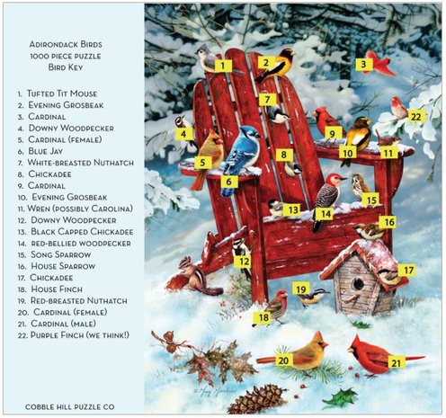 Adirondack Birds :: Cobble Hill