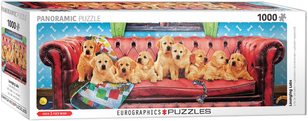 Lounging Labs :: Eurographics