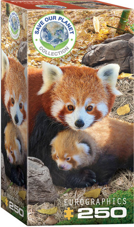 Red Pandas :: Eurographics