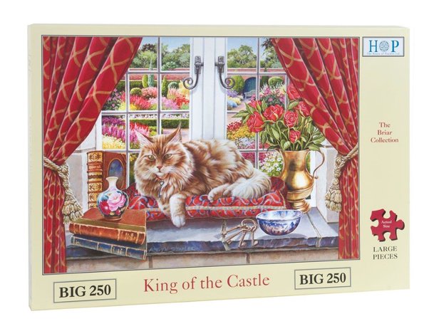 King of the Castle :: The House of Puzzles