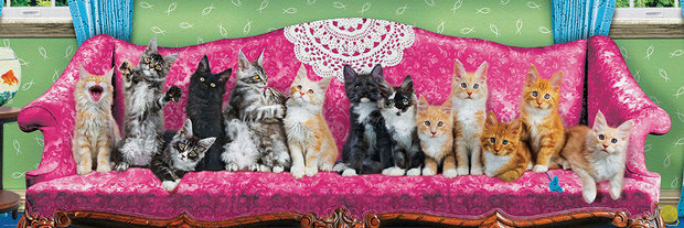 Kitty Cat Couch :: Eurographics