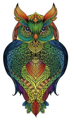 Owl :: Rainbow Wooden Puzzles