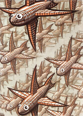 Diepte :: M.C. Escher