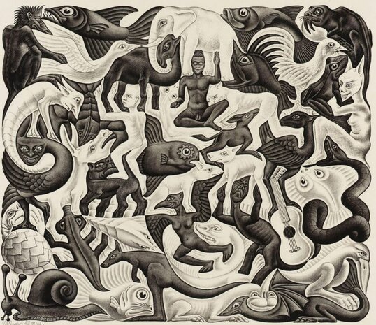 Vlakvulling II :: M.C. Escher