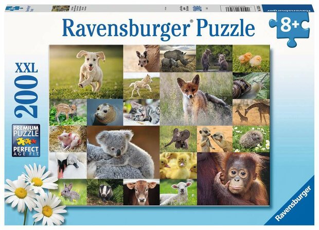 Schattige Babydieren :: Ravensburger