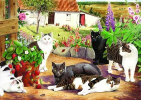 House of Puzzles 500 (XL) - Cool Cats