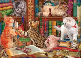 Eurographics 1000 - Library Kittens