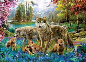 Eurographics 500 (XL) - Wolf Lake Fantasy