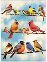 Cobble Hill 500 (XL) - Birds on a Wire