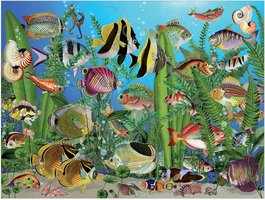 Cobble Hill 275 (XXL) - Aquarium