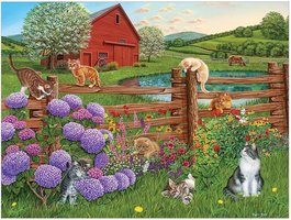 Cobble Hill 275 (XXL) - Farm Cats