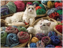 Cobble Hill 275 (XXL) - Ragdolls