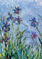 Eurographics 1000 - Monet: Irises