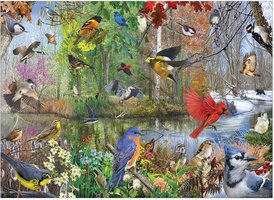 Cobble Hill 1000 - Birds of the Season