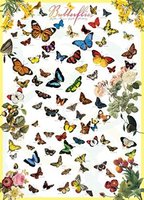 Eurographics 1000 - Butterflies