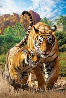 Eurographics 250 (XL) - Tigers