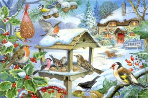 House of Puzzles 250 (XL) - Feed the Birds