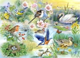 House of Puzzles 250 (XL) - Feathered Friends