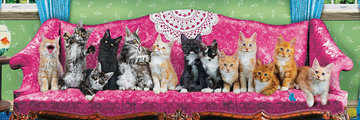 Eurographics 1000 Panorama - Kitty Cat Couch