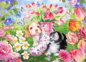 TFF 500 XL - Tulip Pets